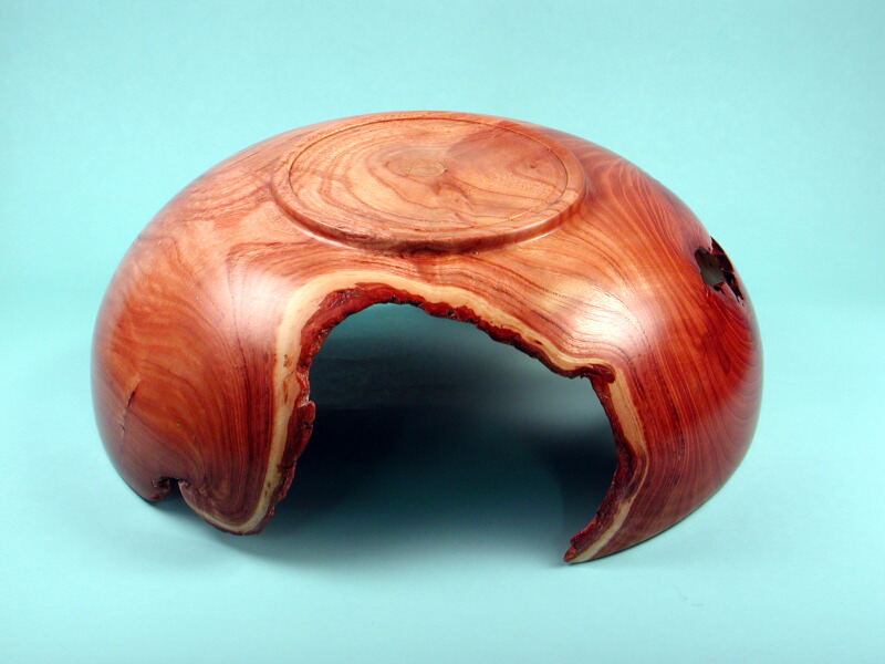 Bowl, Black Locust, Reverse Side