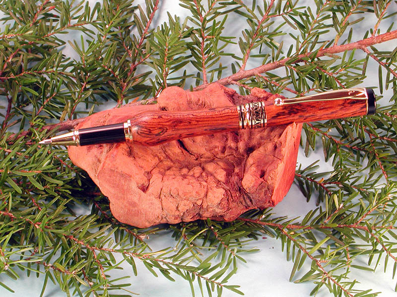 Pen View